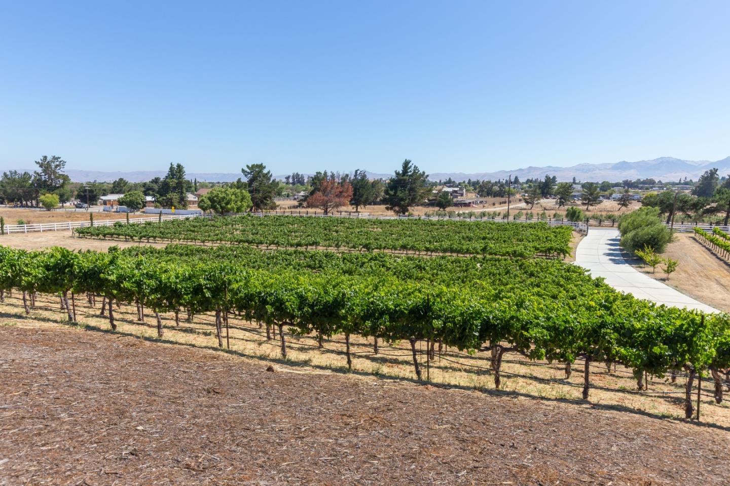 Detail Gallery Image 17 of 65 For 741 Riverside Rd, Hollister,  CA 95023 - 5 Beds | 3/1 Baths