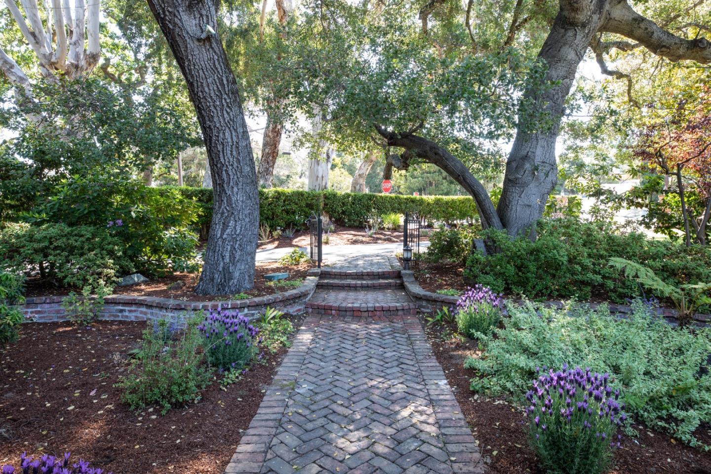 Detail Gallery Image 6 of 34 For 700 Laurelwood Dr, San Mateo,  CA 94403 - 3 Beds | 2/1 Baths