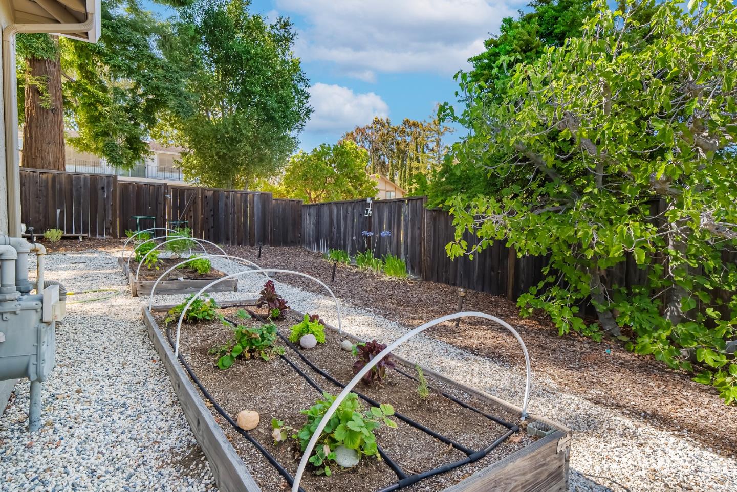 Detail Gallery Image 40 of 51 For 1405 Cedar Pl, Los Altos,  CA 94024 - 3 Beds | 2 Baths