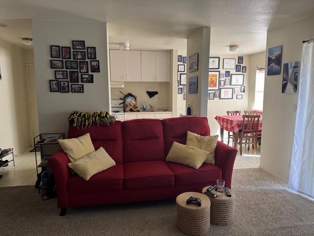 Detail Gallery Image 16 of 21 For 707 Seabright Ave, Santa Cruz,  CA 95062 - – Beds | – Baths