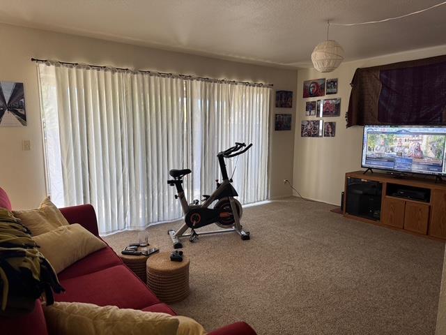Detail Gallery Image 17 of 21 For 707 Seabright Ave, Santa Cruz,  CA 95062 - – Beds | – Baths