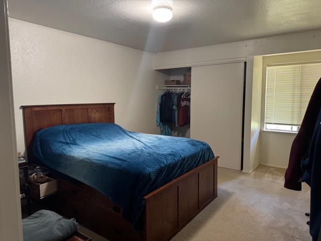 Detail Gallery Image 19 of 21 For 707 Seabright Ave, Santa Cruz,  CA 95062 - – Beds | – Baths