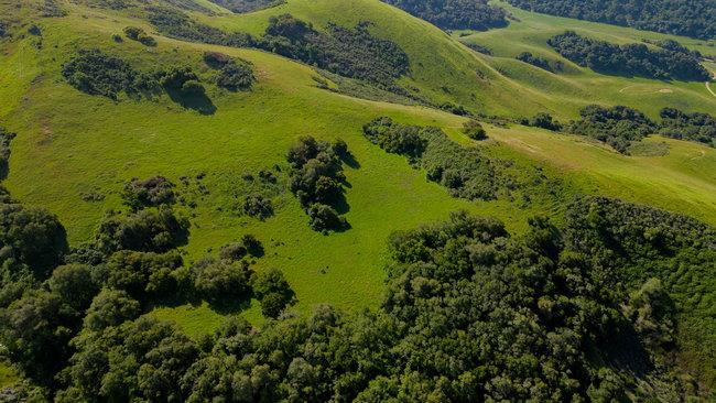 Detail Gallery Image 15 of 58 For 100 Old Stage Rd, San Juan Bautista,  CA 95045 - 3 Beds | 2 Baths