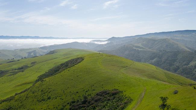 Detail Gallery Image 21 of 58 For 100 Old Stage Rd, San Juan Bautista,  CA 95045 - 3 Beds | 2 Baths
