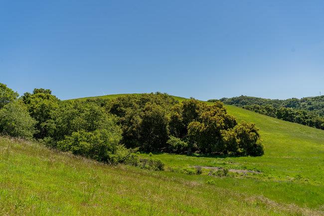 Detail Gallery Image 24 of 58 For 100 Old Stage Rd, San Juan Bautista,  CA 95045 - 3 Beds | 2 Baths