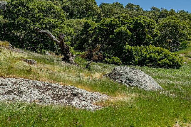 Detail Gallery Image 26 of 58 For 100 Old Stage Rd, San Juan Bautista,  CA 95045 - 3 Beds | 2 Baths
