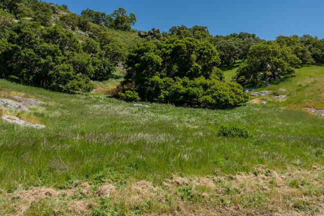 Detail Gallery Image 27 of 58 For 100 Old Stage Rd, San Juan Bautista,  CA 95045 - 3 Beds | 2 Baths