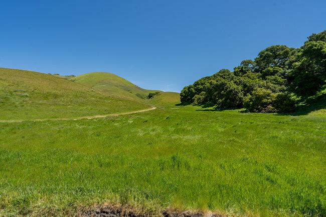 Detail Gallery Image 29 of 58 For 100 Old Stage Rd, San Juan Bautista,  CA 95045 - 3 Beds | 2 Baths