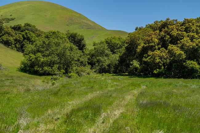 Detail Gallery Image 30 of 58 For 100 Old Stage Rd, San Juan Bautista,  CA 95045 - 3 Beds | 2 Baths