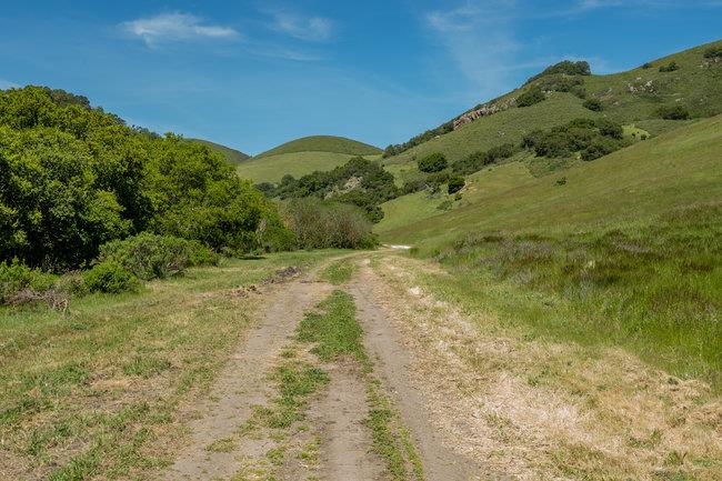 Detail Gallery Image 31 of 58 For 100 Old Stage Rd, San Juan Bautista,  CA 95045 - 3 Beds | 2 Baths