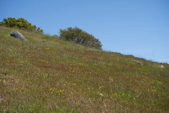 Detail Gallery Image 32 of 58 For 100 Old Stage Rd, San Juan Bautista,  CA 95045 - 3 Beds | 2 Baths