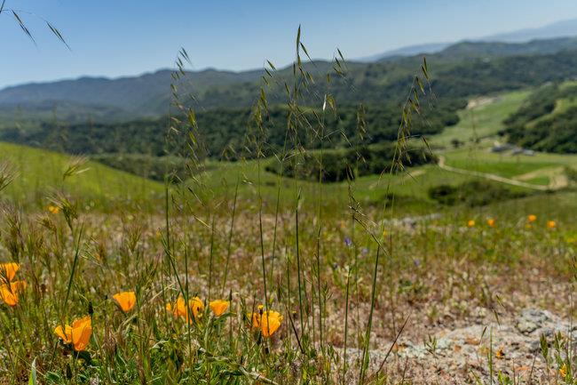 Detail Gallery Image 34 of 58 For 100 Old Stage Rd, San Juan Bautista,  CA 95045 - 3 Beds | 2 Baths