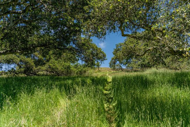 Detail Gallery Image 37 of 58 For 100 Old Stage Rd, San Juan Bautista,  CA 95045 - 3 Beds | 2 Baths