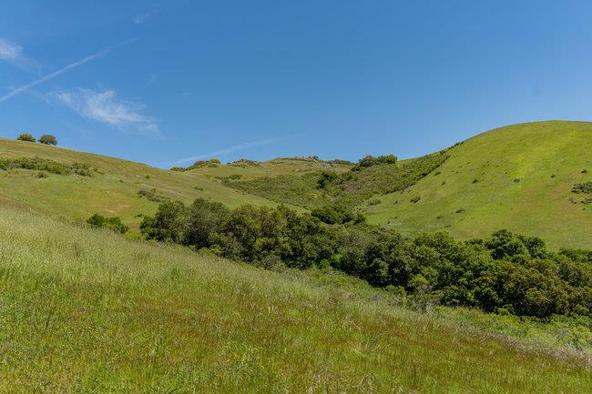 Detail Gallery Image 38 of 58 For 100 Old Stage Rd, San Juan Bautista,  CA 95045 - 3 Beds | 2 Baths
