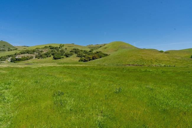Detail Gallery Image 4 of 58 For 100 Old Stage Rd, San Juan Bautista,  CA 95045 - 3 Beds | 2 Baths
