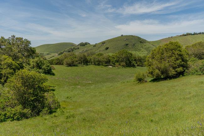 Detail Gallery Image 42 of 58 For 100 Old Stage Rd, San Juan Bautista,  CA 95045 - 3 Beds | 2 Baths