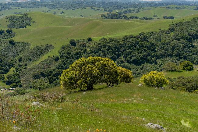 Detail Gallery Image 45 of 58 For 100 Old Stage Rd, San Juan Bautista,  CA 95045 - 3 Beds | 2 Baths