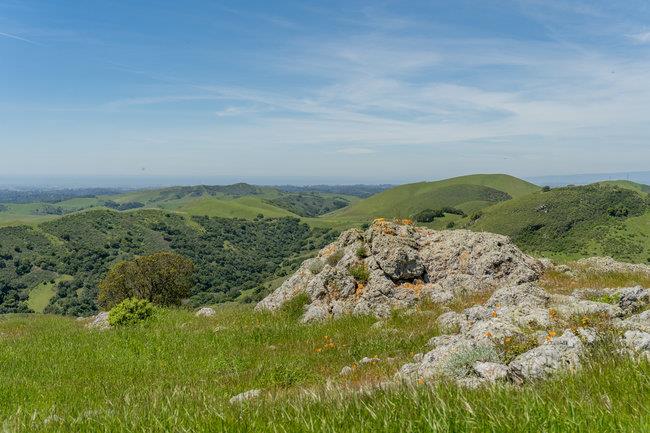 Detail Gallery Image 49 of 58 For 100 Old Stage Rd, San Juan Bautista,  CA 95045 - 3 Beds | 2 Baths