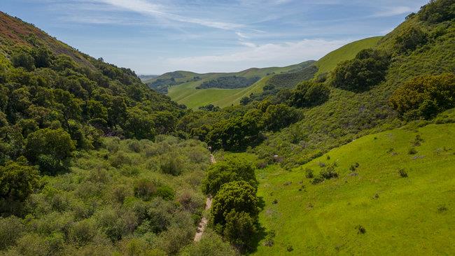 Detail Gallery Image 5 of 58 For 100 Old Stage Rd, San Juan Bautista,  CA 95045 - 3 Beds | 2 Baths