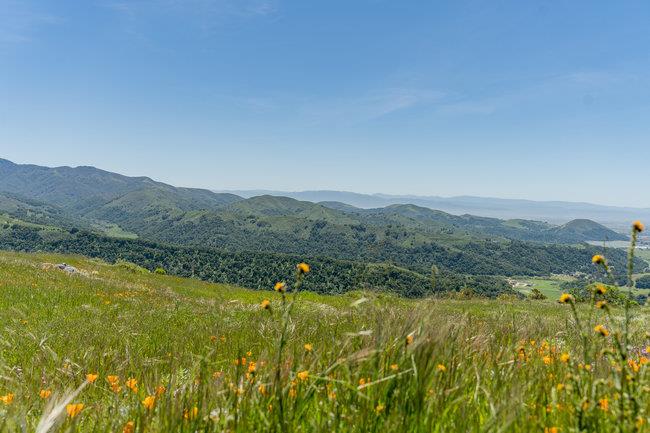 Detail Gallery Image 50 of 58 For 100 Old Stage Rd, San Juan Bautista,  CA 95045 - 3 Beds | 2 Baths