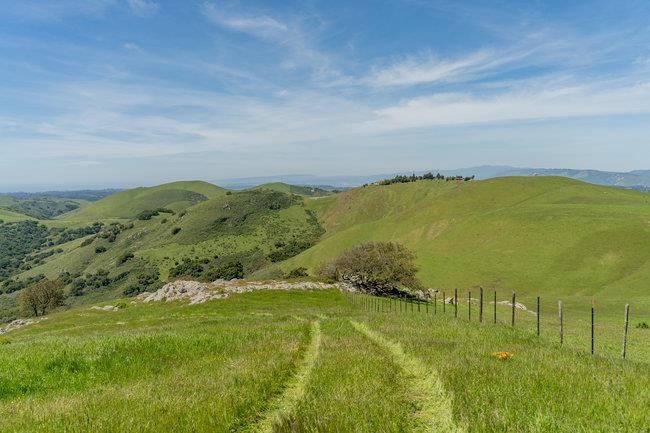 Detail Gallery Image 51 of 58 For 100 Old Stage Rd, San Juan Bautista,  CA 95045 - 3 Beds | 2 Baths