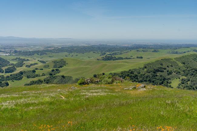 Detail Gallery Image 52 of 58 For 100 Old Stage Rd, San Juan Bautista,  CA 95045 - 3 Beds | 2 Baths