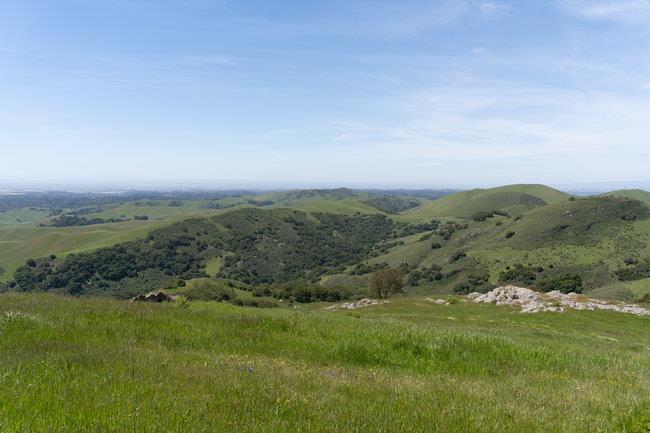 Detail Gallery Image 53 of 58 For 100 Old Stage Rd, San Juan Bautista,  CA 95045 - 3 Beds | 2 Baths