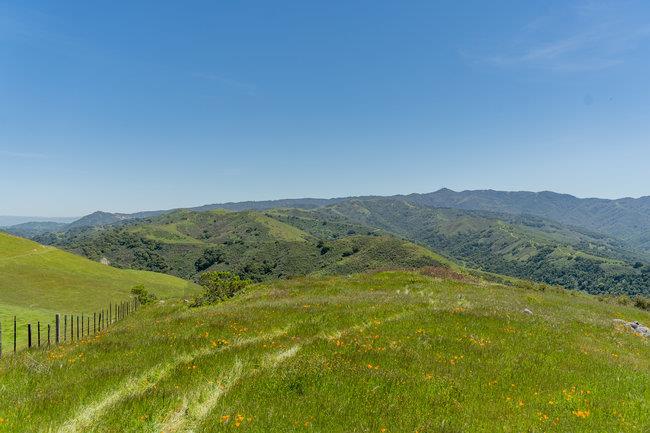 Detail Gallery Image 54 of 58 For 100 Old Stage Rd, San Juan Bautista,  CA 95045 - 3 Beds | 2 Baths