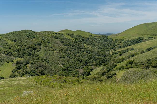 Detail Gallery Image 57 of 58 For 100 Old Stage Rd, San Juan Bautista,  CA 95045 - 3 Beds | 2 Baths