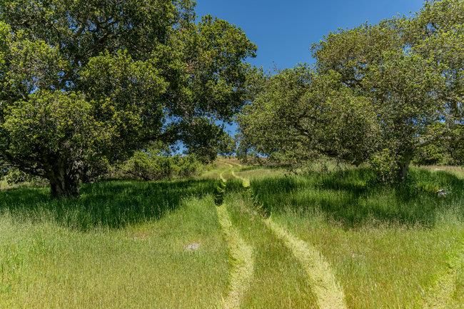 Detail Gallery Image 7 of 58 For 100 Old Stage Rd, San Juan Bautista,  CA 95045 - 3 Beds | 2 Baths