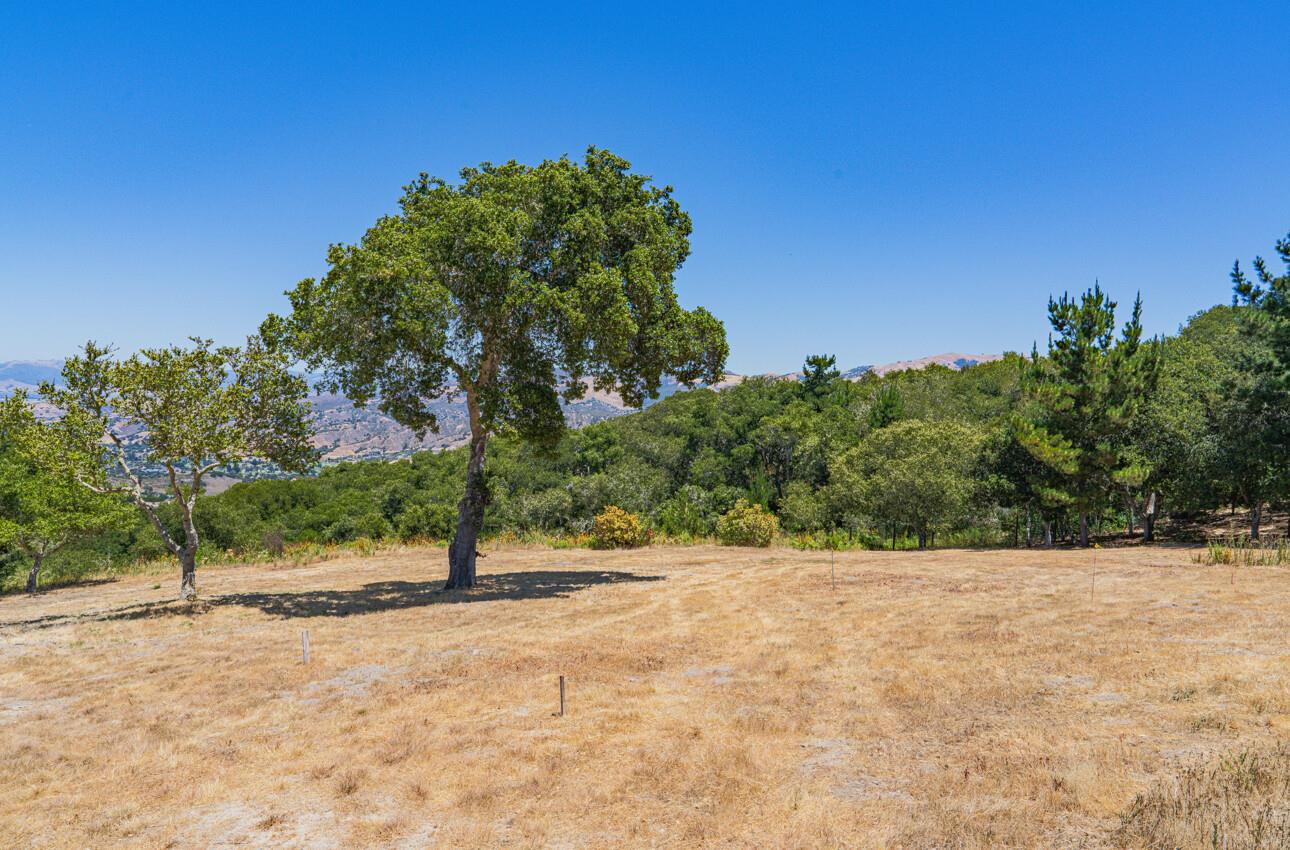 Detail Gallery Image 17 of 36 For 12167 Saddle Rd, Carmel Valley,  CA 93924 - – Beds | – Baths