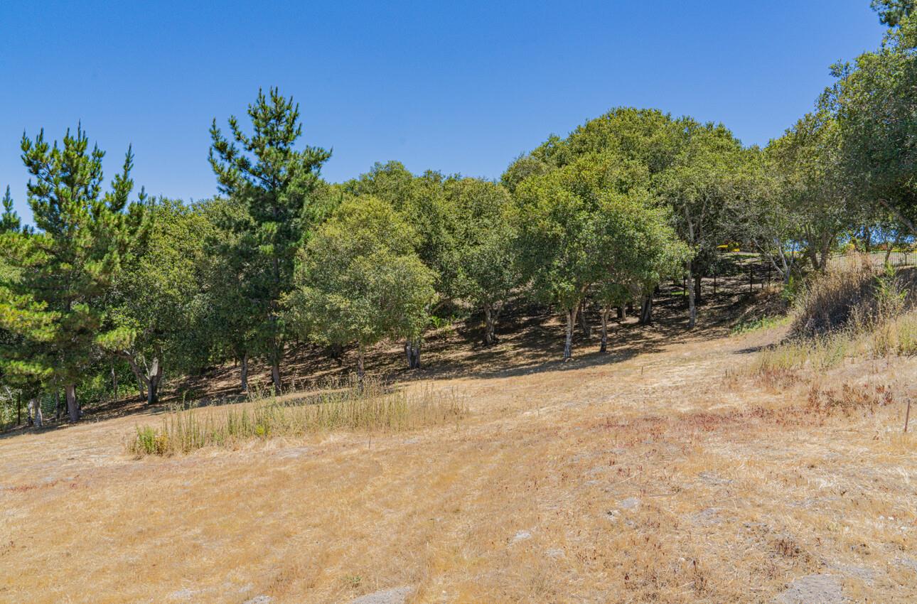 Detail Gallery Image 18 of 36 For 12167 Saddle Rd, Carmel Valley,  CA 93924 - – Beds | – Baths
