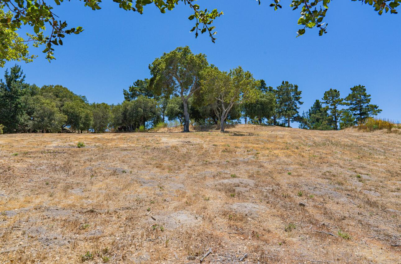 Detail Gallery Image 21 of 36 For 12167 Saddle Rd, Carmel Valley,  CA 93924 - – Beds | – Baths