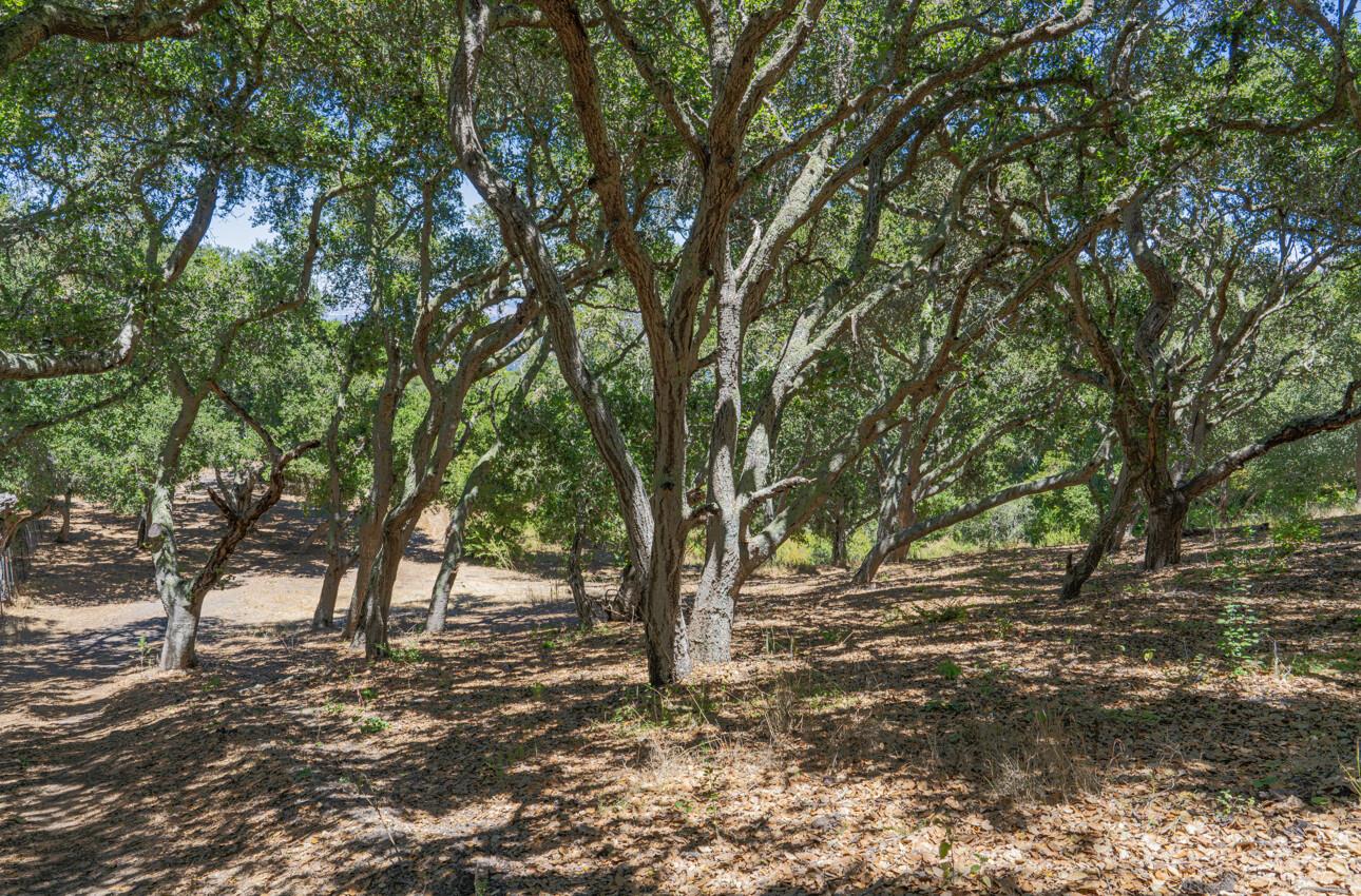 Detail Gallery Image 22 of 36 For 12167 Saddle Rd, Carmel Valley,  CA 93924 - – Beds | – Baths
