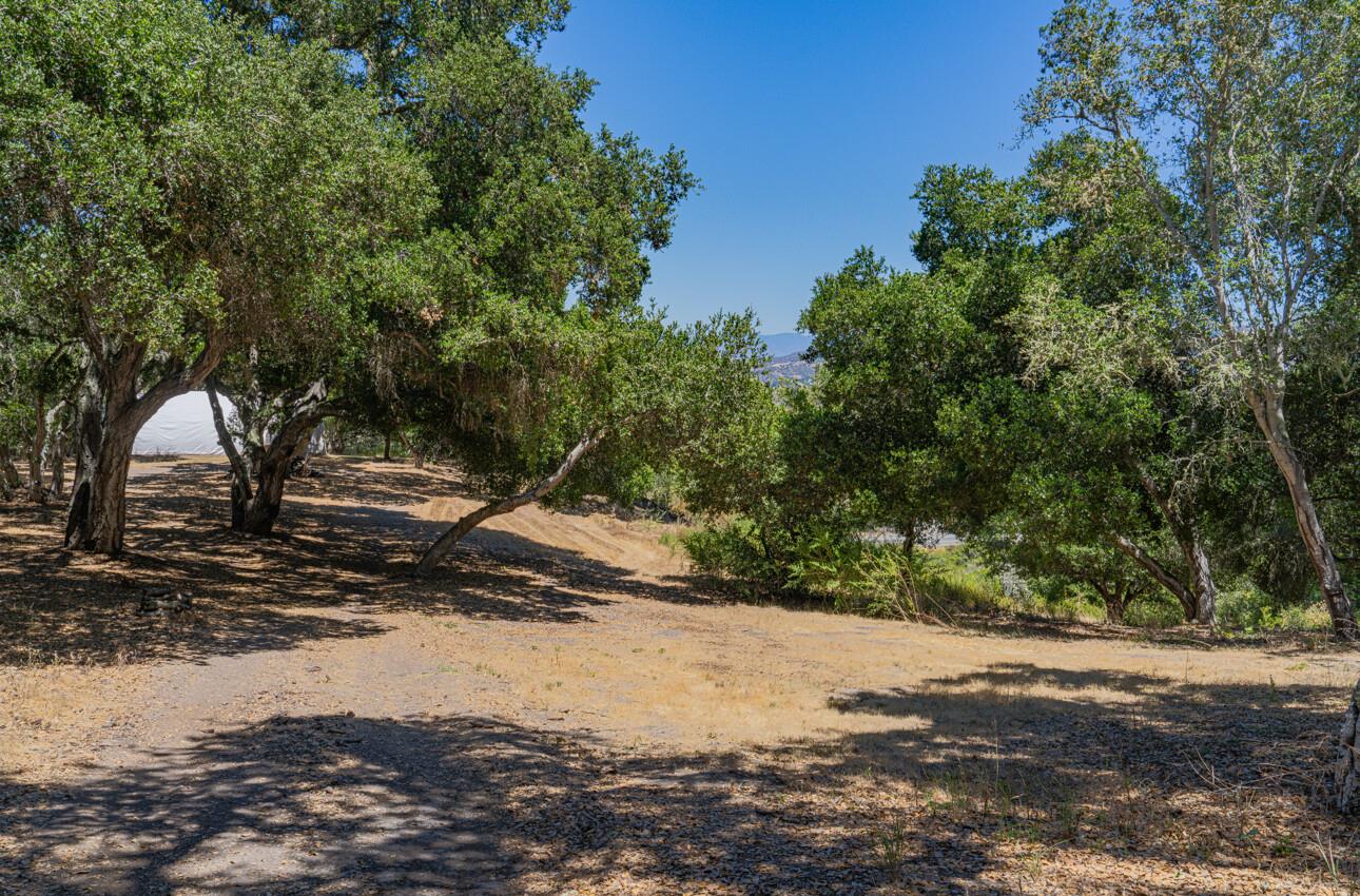 Detail Gallery Image 23 of 36 For 12167 Saddle Rd, Carmel Valley,  CA 93924 - – Beds | – Baths