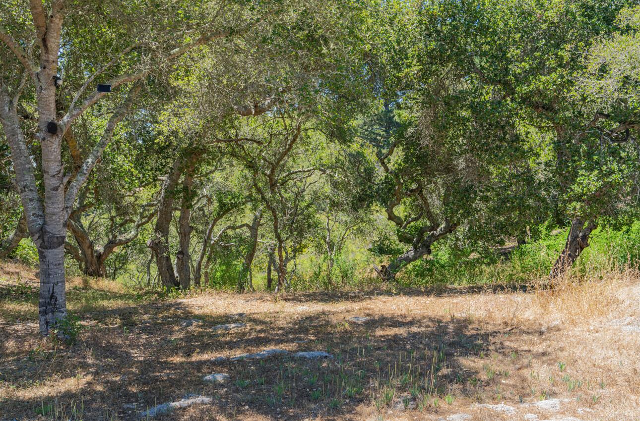 Detail Gallery Image 29 of 36 For 12167 Saddle Rd, Carmel Valley,  CA 93924 - – Beds | – Baths