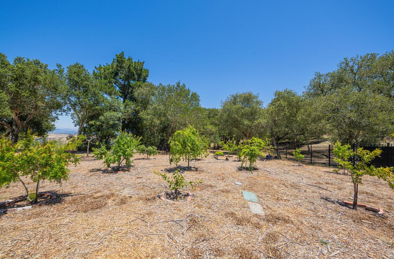 Detail Gallery Image 8 of 36 For 12167 Saddle Rd, Carmel Valley,  CA 93924 - – Beds | – Baths