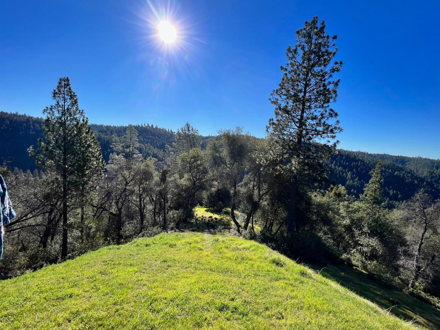 Detail Gallery Image 1 of 9 For 17252 Shake Ridge Rd, Sutter Creek,  CA 95685 - – Beds | – Baths