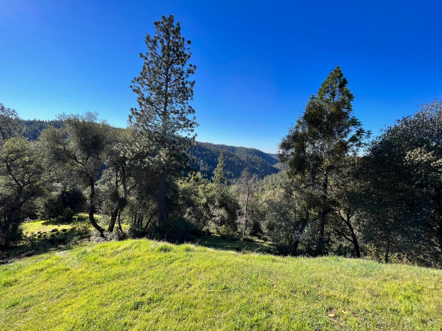 Detail Gallery Image 2 of 9 For 17252 Shake Ridge Rd, Sutter Creek,  CA 95685 - – Beds | – Baths