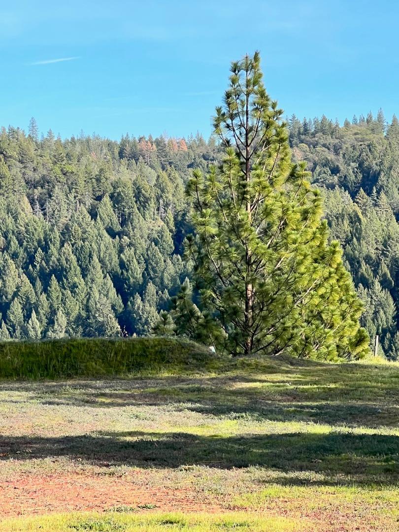 Detail Gallery Image 4 of 9 For 17252 Shake Ridge Rd, Sutter Creek,  CA 95685 - – Beds | – Baths