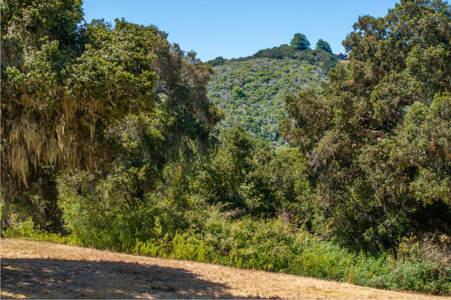 Detail Gallery Image 5 of 18 For 4 Goodrich Trail (Lot E13), Carmel,  CA 93923 - – Beds | – Baths