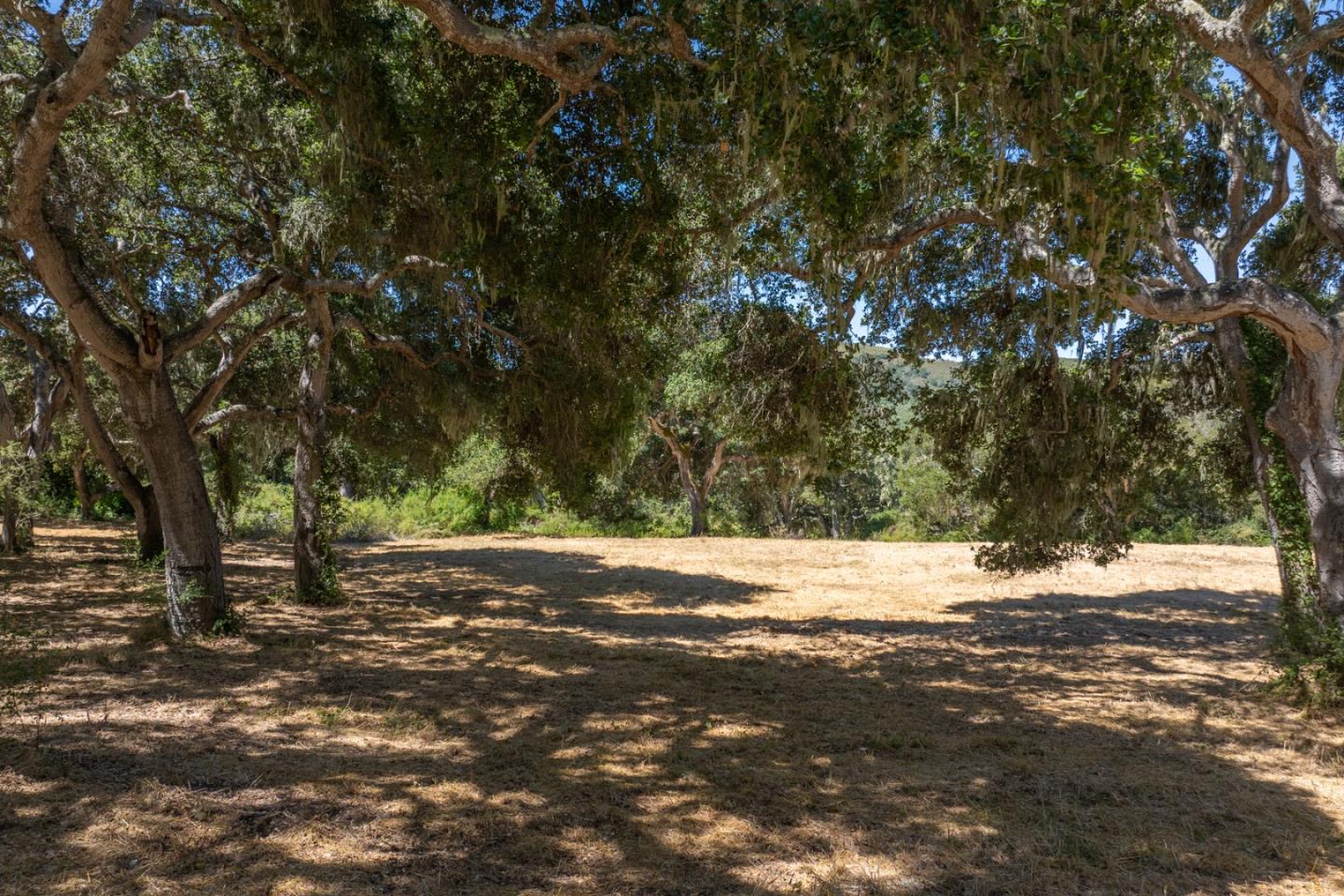 Detail Gallery Image 6 of 18 For 4 Goodrich Trail (Lot E13), Carmel,  CA 93923 - – Beds | – Baths
