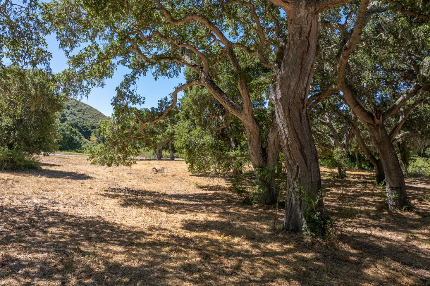 Detail Gallery Image 7 of 18 For 4 Goodrich Trail (Lot E13), Carmel,  CA 93923 - – Beds | – Baths