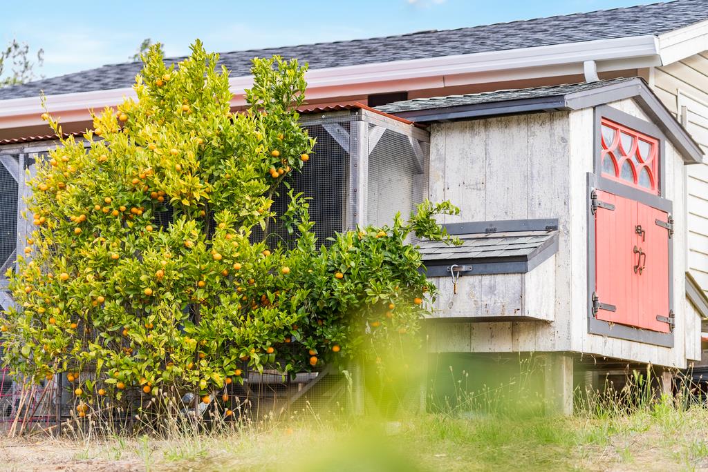 1501 Hidden Valley Road, Soquel, California 95073, 5 Bedrooms Bedrooms, ,4 BathroomsBathrooms,Residential,For Sale,1501 Hidden Valley Road,ML82014611