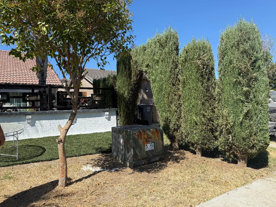 Detail Gallery Image 29 of 38 For 675 Pinot Noir Ct, Los Banos,  CA 93635 - 4 Beds | 3 Baths