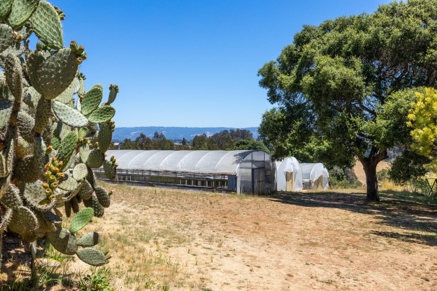 Detail Gallery Image 13 of 46 For 134 Trabing Rd, Watsonville,  CA 95076 - 6 Beds | 3/1 Baths