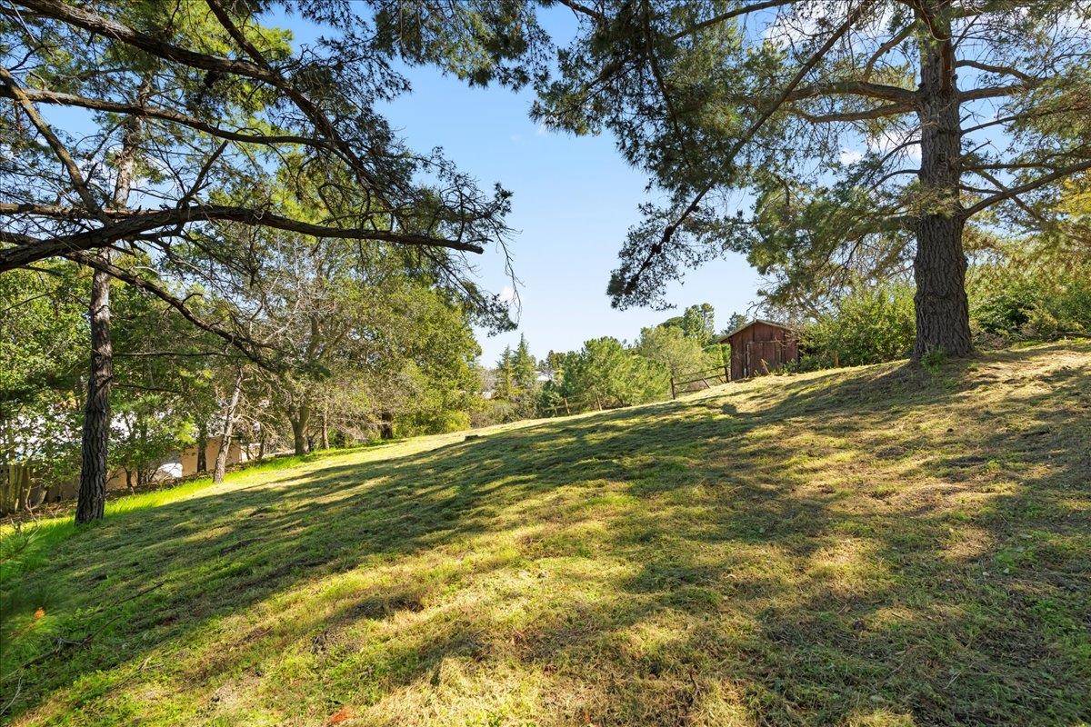 Detail Gallery Image 42 of 56 For 12650 Viscaino Ct, Los Altos Hills,  CA 94022 - 4 Beds | 3 Baths