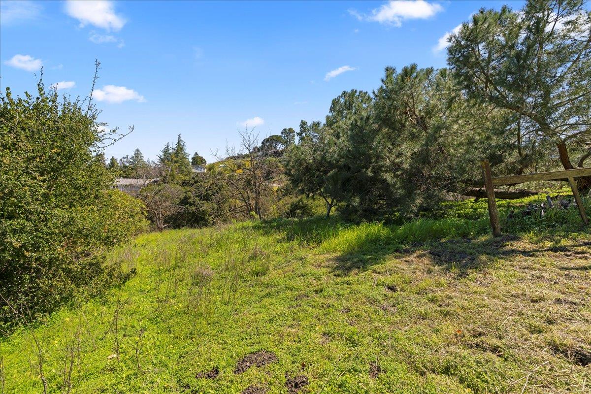 Detail Gallery Image 45 of 56 For 12650 Viscaino Ct, Los Altos Hills,  CA 94022 - 4 Beds | 3 Baths