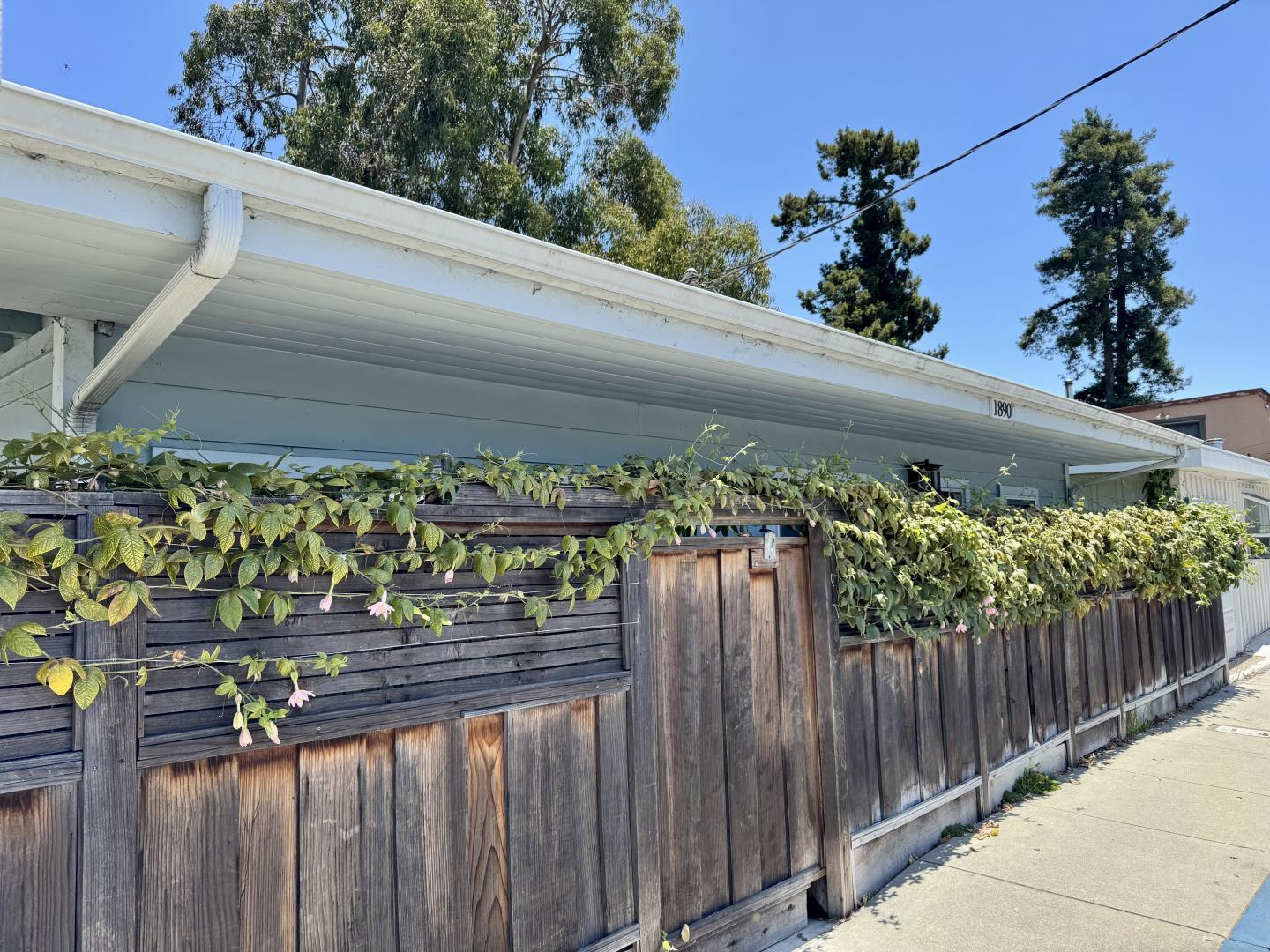 Detail Gallery Image 6 of 25 For 1890 Wharf Rd, Capitola,  CA 95010 - 1 Beds | 1 Baths