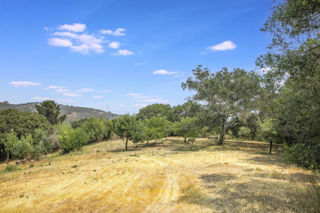 Detail Gallery Image 1 of 24 For 0 Montevina Rd, Los Gatos,  CA 95030 - – Beds | – Baths